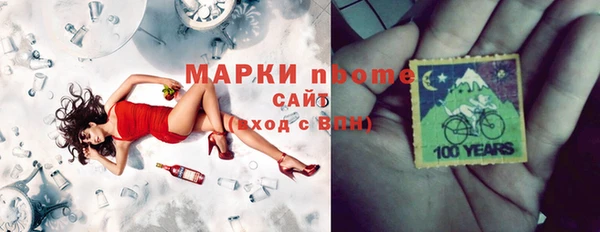 соль ск Ельня