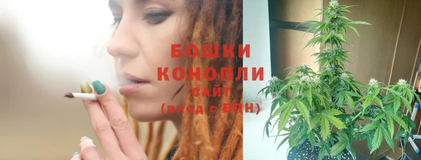 дживик Дмитровск