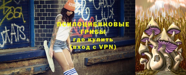 эйфоретик Дмитров