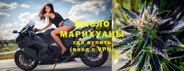 соль ск Ельня