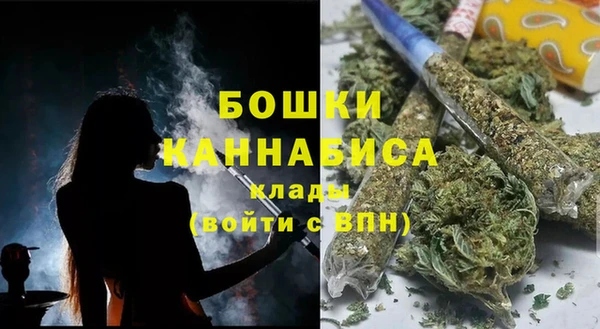 гидра Дмитриев