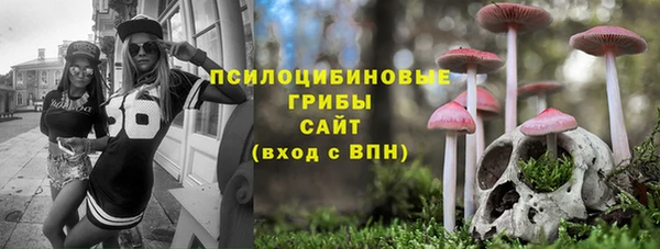 соль ск Ельня