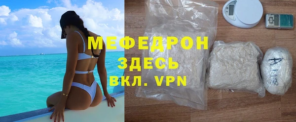 соль ск Ельня