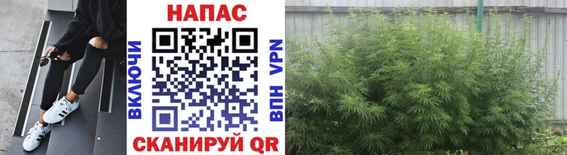 купить наркоту Шиханы Бошки Шишки Bruce Banner